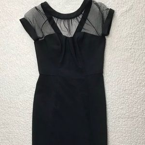 MAGGY LONDON Petites Black Bodycon